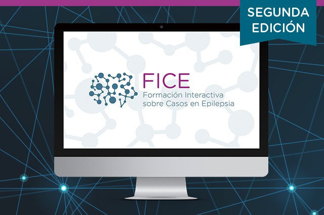 FICE (2ª EDICIÓN)