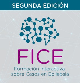 FICE (2ª EDICIÓN)