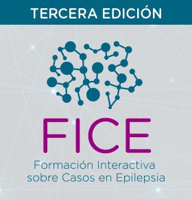 FICE (3ª EDICIÓN)